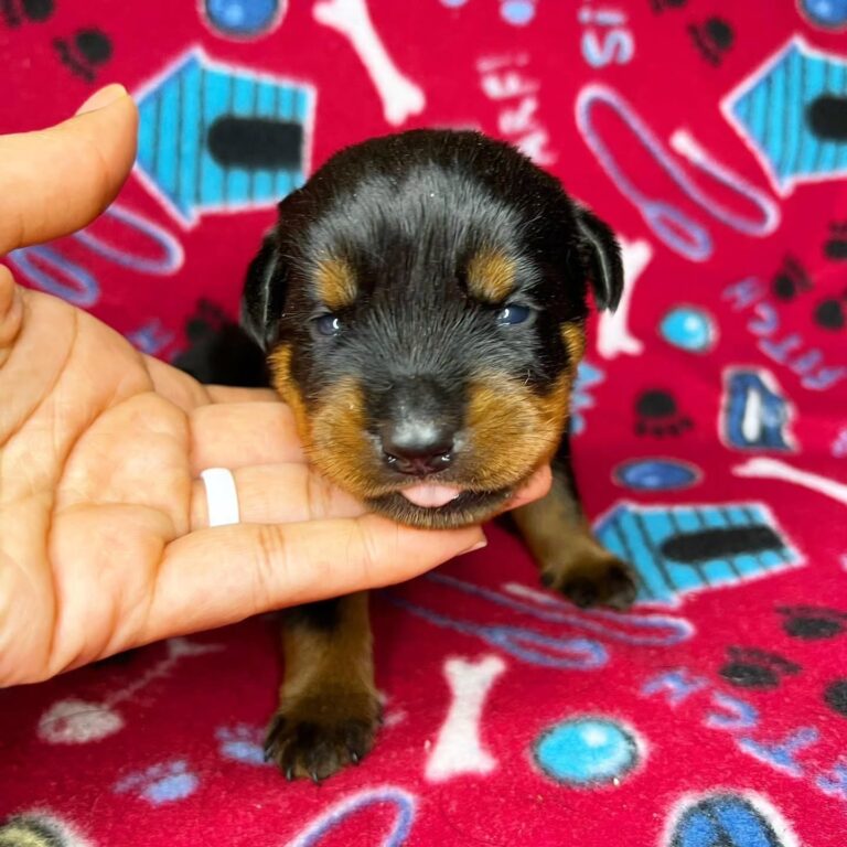 WhatsApp Image 2025-11-08 at 15.44