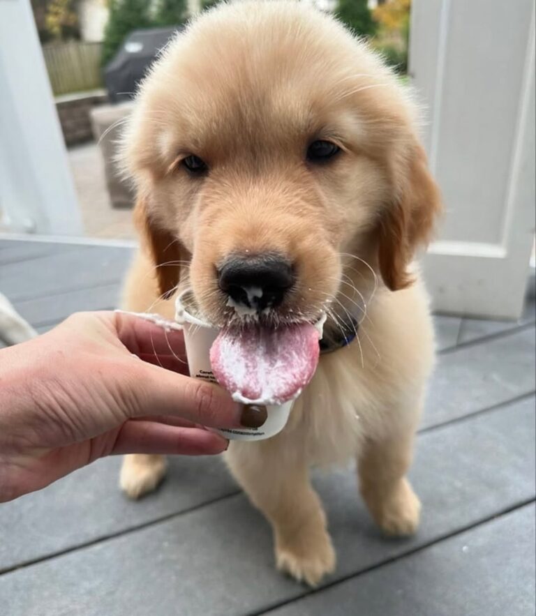 WhatsApp Image 2025-11-08 at 15.45