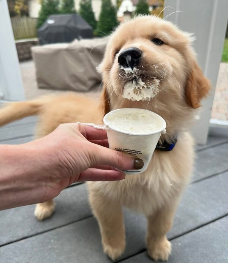 WhatsApp Image 2025-11-08 at 15.45