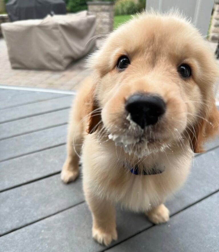 WhatsApp Image 2025-11-08 at 15.45