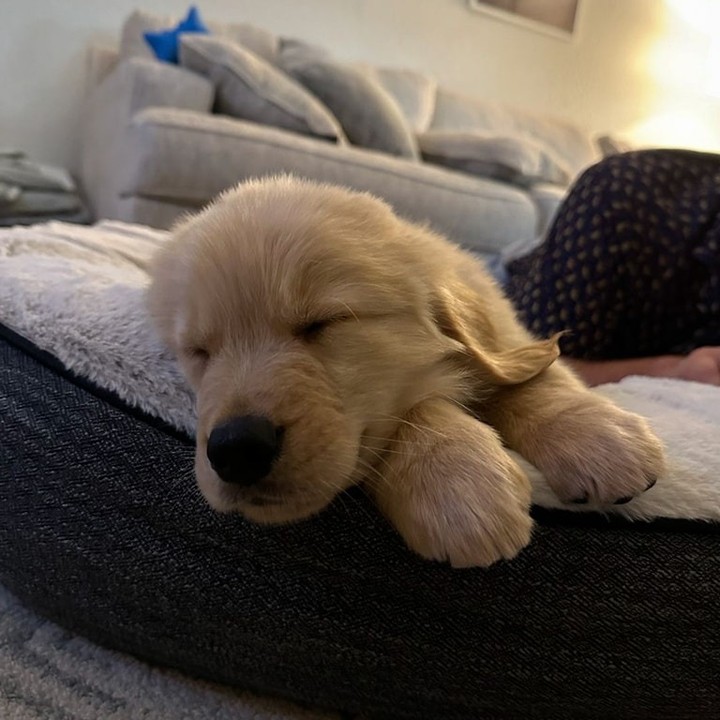 WhatsApp Image 2025-11-08 at 15.46