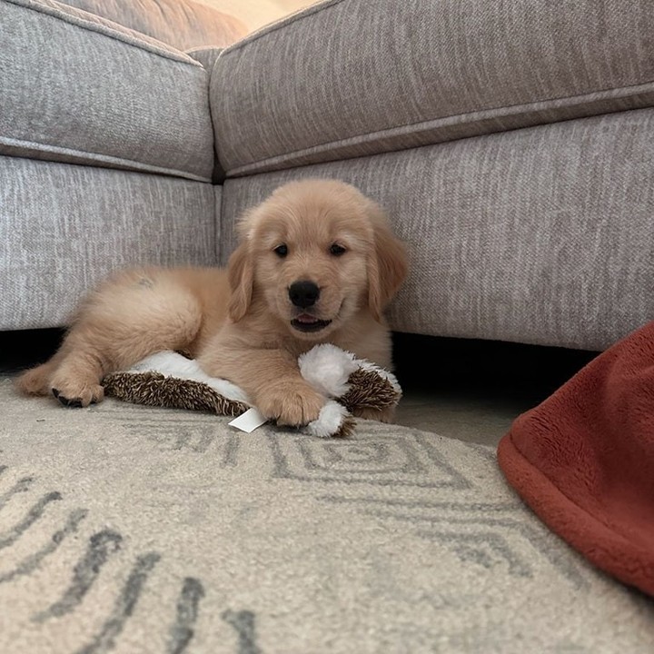 WhatsApp Image 2025-11-08 at 15.46