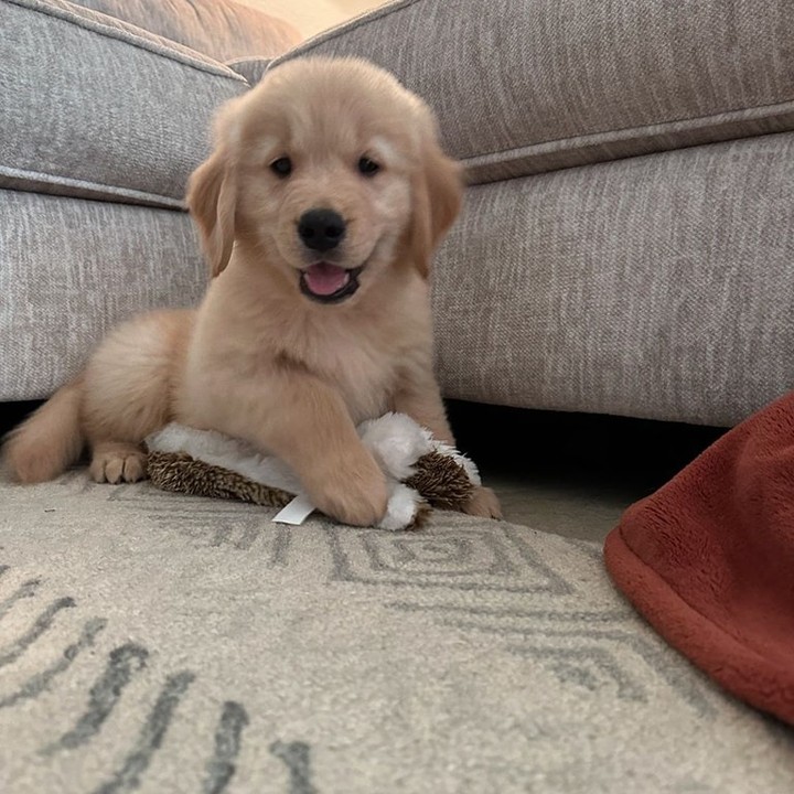 WhatsApp Image 2025-11-08 at 15.46