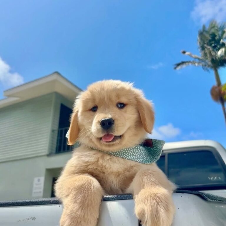 WhatsApp Image 2025-11-08 at 15.47