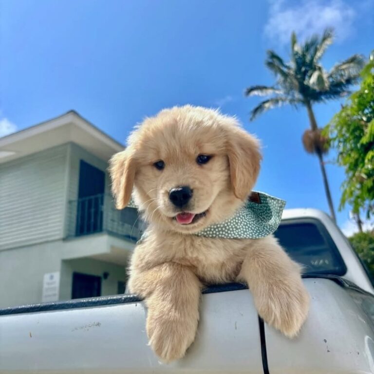 WhatsApp Image 2025-11-08 at 15.47