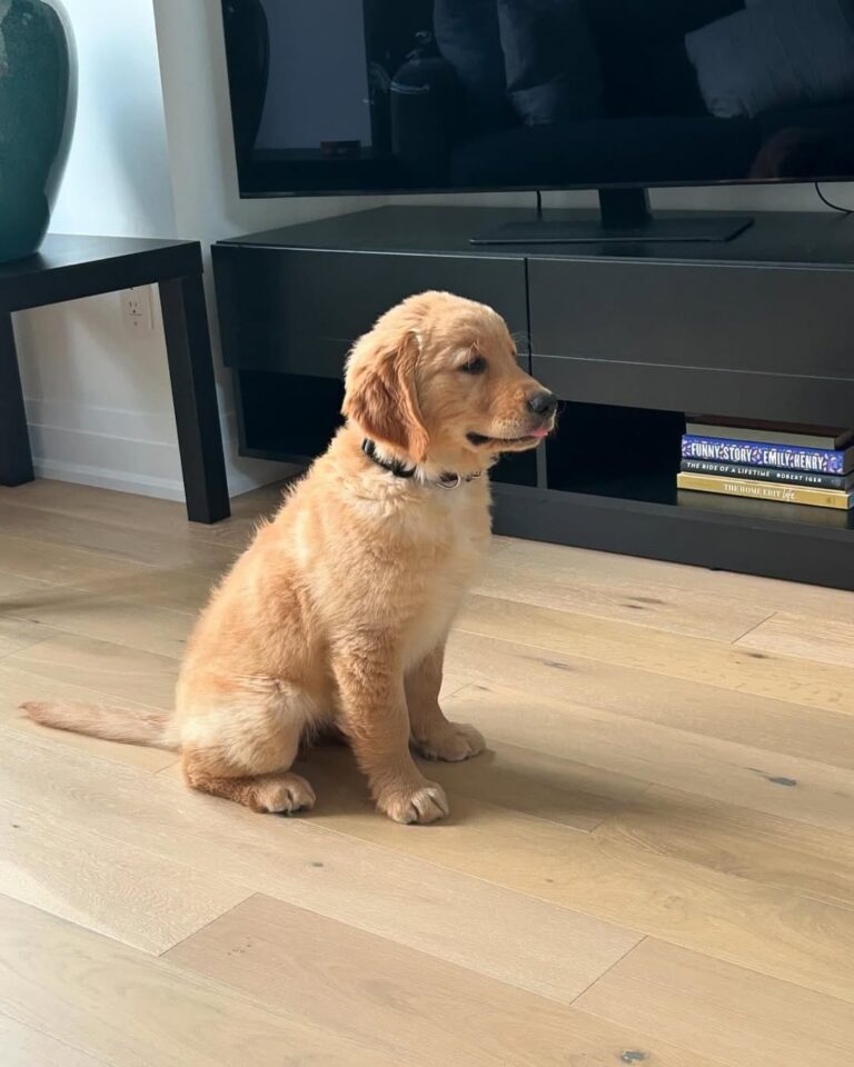 WhatsApp Image 2025-11-08 at 15.48