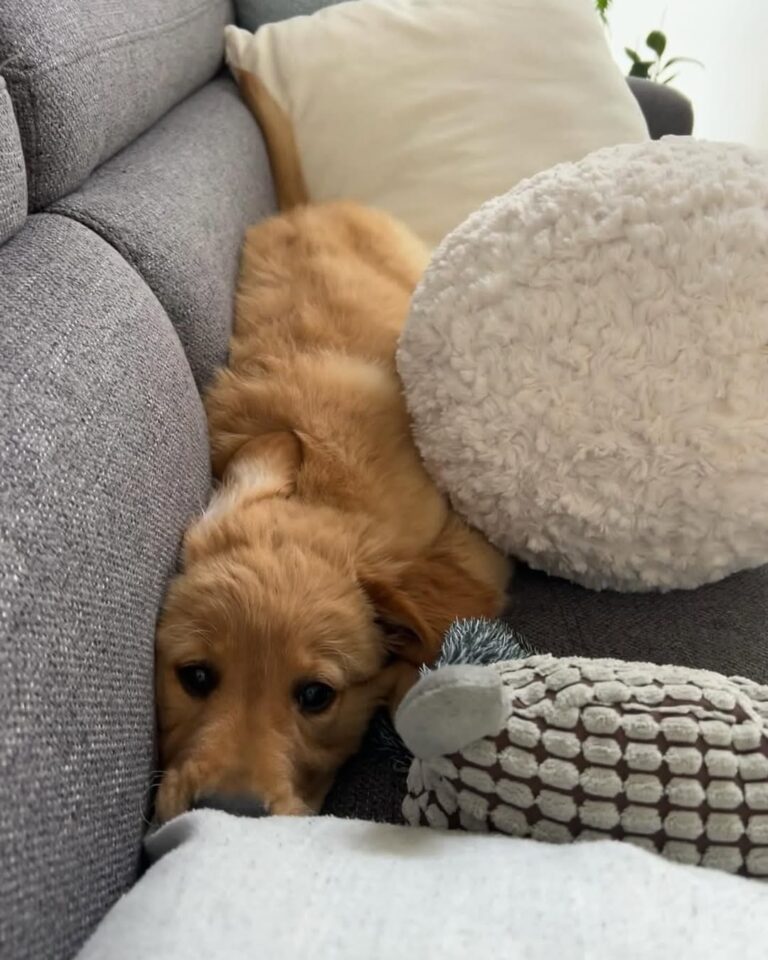 WhatsApp Image 2025-11-08 at 15.48