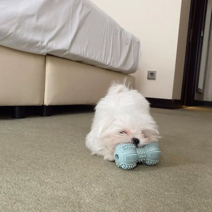 WhatsApp Image 2025-11-08 at 15.54