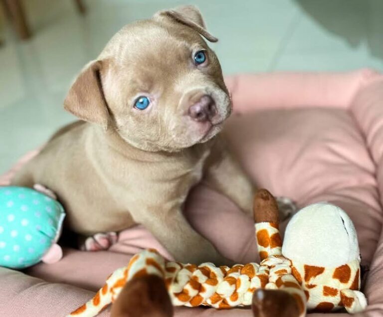 WhatsApp Image 2025-11-08 at 16.00