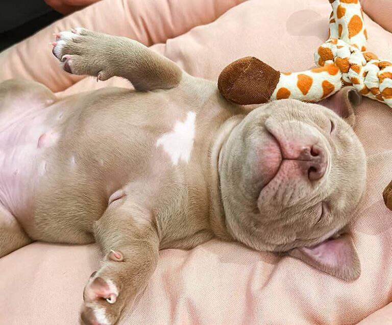 WhatsApp Image 2025-11-08 at 16.00