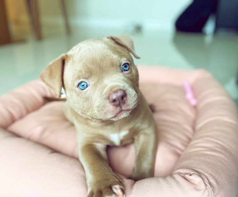 WhatsApp Image 2025-11-08 at 16.00