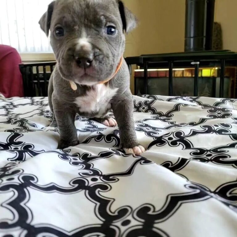 WhatsApp Image 2025-11-08 at 16.01