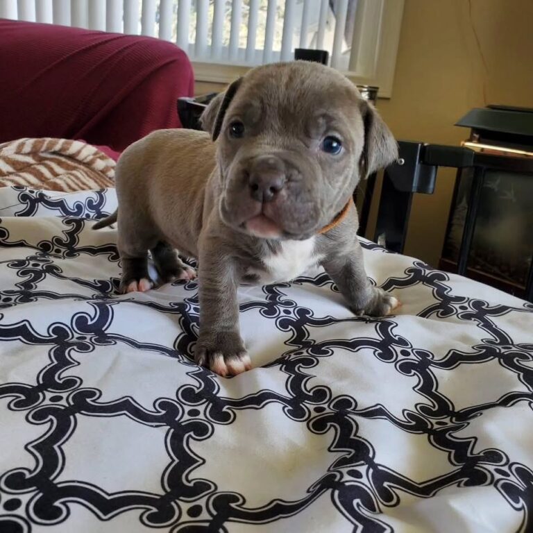 WhatsApp Image 2025-11-08 at 16.01