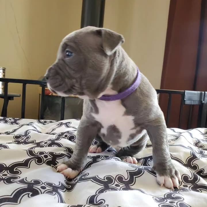 WhatsApp Image 2025-11-08 at 16.01