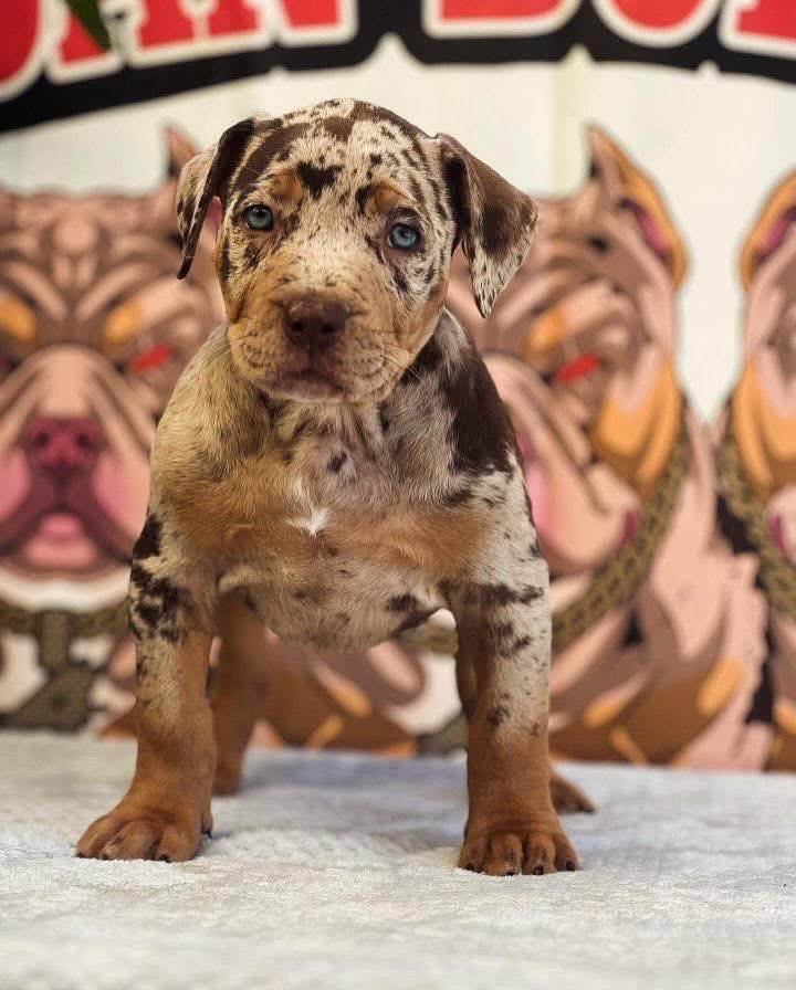 WhatsApp Image 2025-11-08 at 16.03