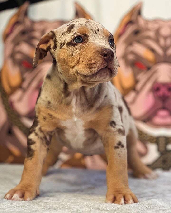 WhatsApp Image 2025-11-08 at 16.03