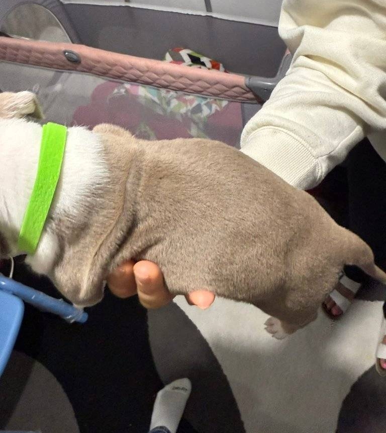 WhatsApp Image 2025-11-08 at 16.07