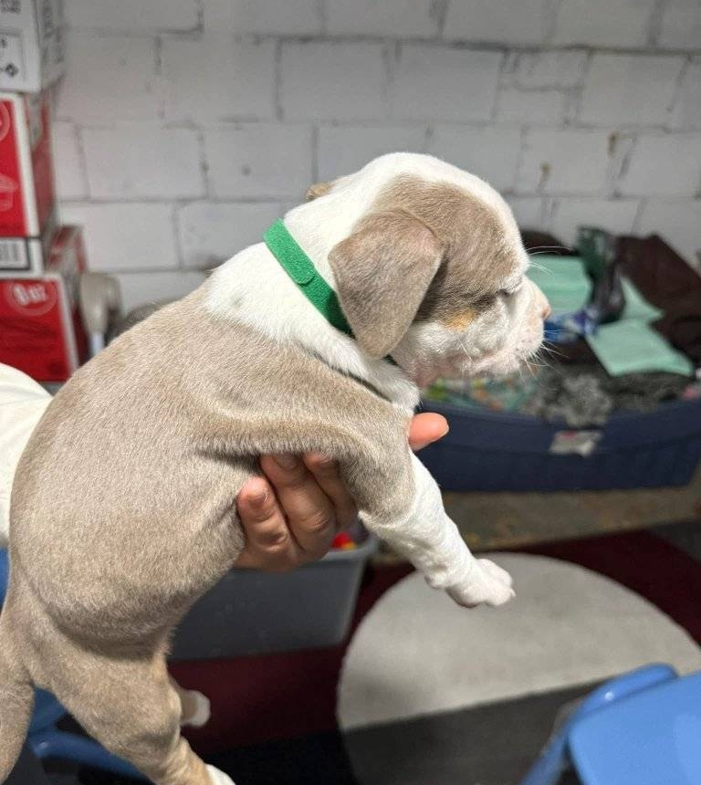 WhatsApp Image 2025-11-08 at 16.07