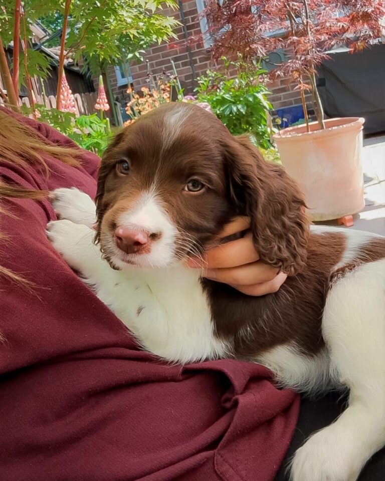 WhatsApp Image 2025-11-08 at 16.07