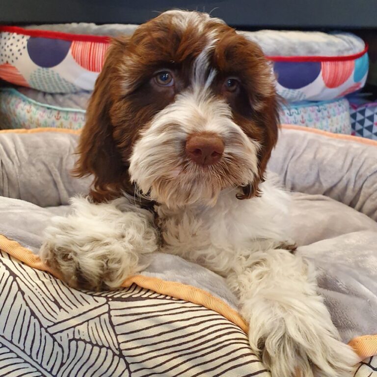 WhatsApp Image 2025-11-08 at 16.08