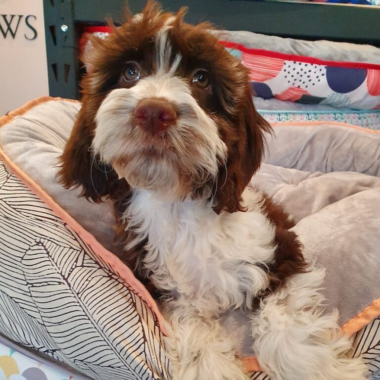 WhatsApp Image 2025-11-08 at 16.10