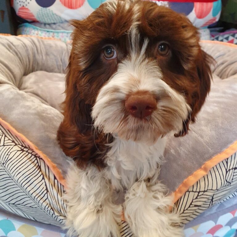 WhatsApp Image 2025-11-08 at 16.10