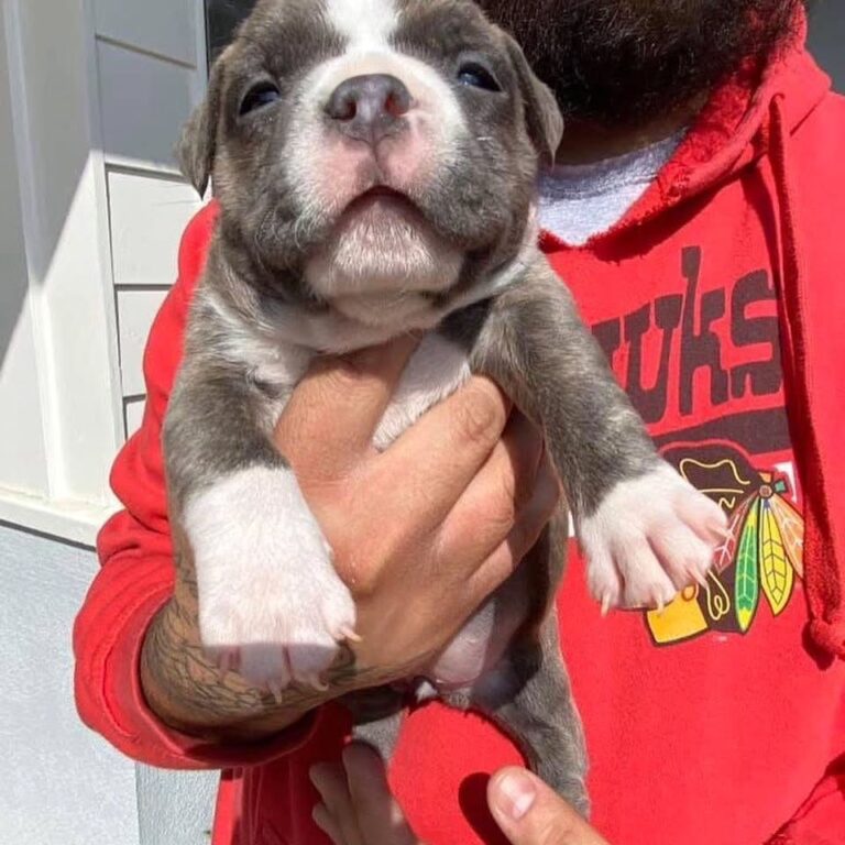 WhatsApp Image 2025-11-08 at 16.10