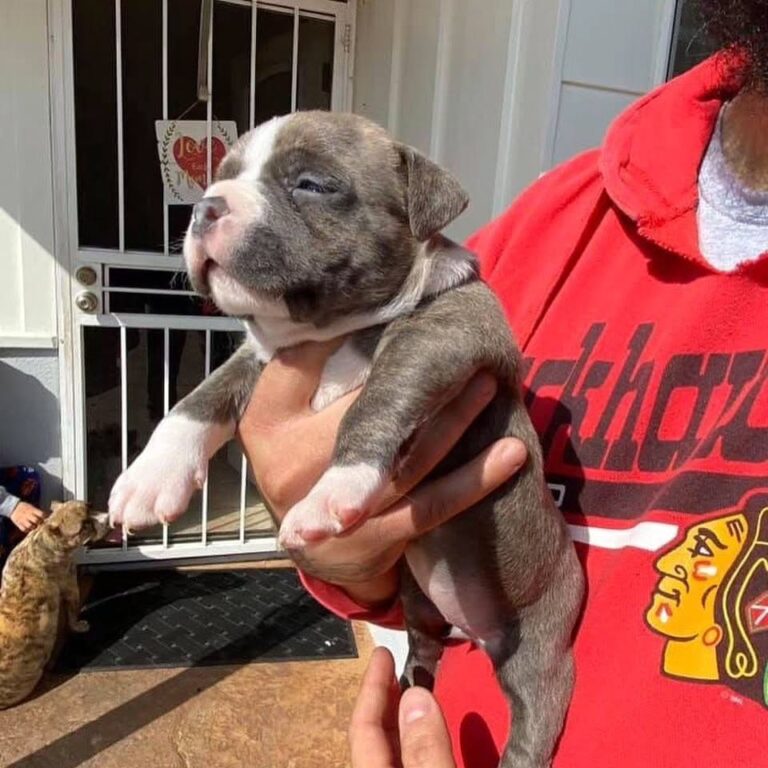 WhatsApp Image 2025-11-08 at 16.11