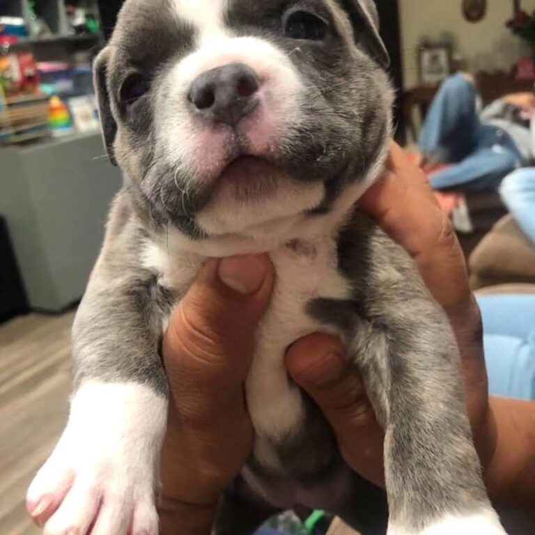 WhatsApp Image 2025-11-08 at 16.11